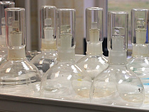 Россельхознадзор забраковал сперму хряков из Дании