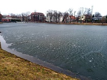 Элиту Калининграда у Поплавка пообещали тревожить минимально