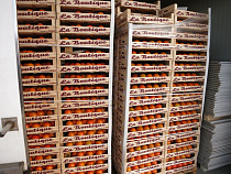 5,6 тонны испанской хурмы уничтожат в Калининградской области