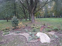 В память об убитой кошке в зеленоградском парке обустраивают сквер