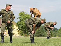 Главный кинолог МЧС отметила спасателей Калининграда 