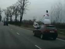 Под Калининградом снеговик катался в оленьей упряжке (видео) 