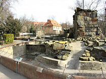 Представители EAZA раскритиковали медвежатник и Дом Птиц в Калининградском зоопарке