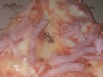 В соцсети началась «тараканья» атака на калининградское кафе  