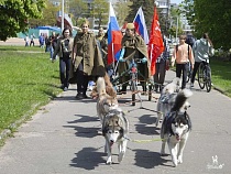 В Калининграде отменили шествие с собаками 9 мая ради безопасности