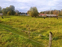 В Калининградской области поставили электропастуха у детской площадки