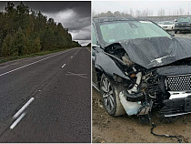 “Линкольн” спешил в Польшу и врезался в дерево