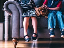 АО СК «РСХБ-Страхование» запускает страхование для домашних питомцев с онлайн-консультациями ветеринаров