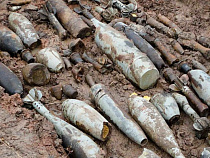 В садовом обществе «Заря» обнаружен артиллерийский боеприпас