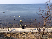 У госрезиденции «Янтарь» намоют 2 км песчаного пляжа