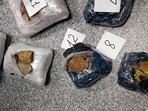 В поезде Калининград – Москва спрятали янтарь на 2,5 млн рублей