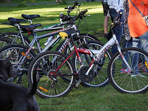 В Советске пройдет массовый велопробег «Движение – жизнь»