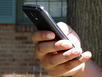 В Калининграде организована прямая линия для недовольных маршрутной сетью (телефон)