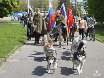 В Калининграде объявили о шествии «Лохматого полка»