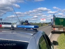 Жена разбившегося под Орловкой мотоциклиста узнала о ДТП от ритуальщика