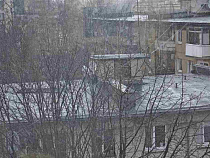 В Калининграде неожиданно пошёл второй снег (фото)