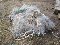 В Калининградском заливе задержали браконьера, успевшего наловить 68 рыб