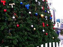 Губернатор Калининградской области предостерёг от встречи Нового года «без украшений и должной атмосферы»