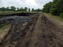 Отставные депутаты облдумы гадят где ни попадя