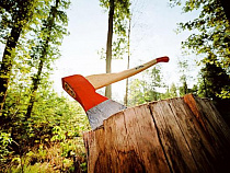 ОНФ не согласен с Рослесхозом, который узаконил сплошную вырубку в уникальном природном парке «Виштынецкий»