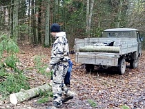 Под Славском у лесоруба отобрали «буханку»