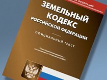В Калининграде собственник земли десять лет не ухаживал за участком