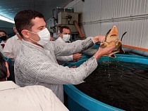 Алиханов высказался о видах на рыбалку в Новый год