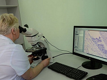 За неделю кишечные инфекции обнаружили у 200 калининградцев