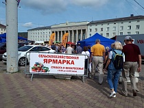 В центре Калининграда возобновляют сельхозярмарку