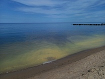 Туристы шокированы страшным изменением Балтийского моря