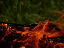 В Правдинском районе сгорело 50 тонн зерна