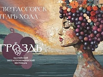 Фестиваль «Гроздь» впервые пройдёт в Светлогорске