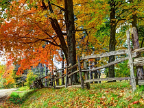 В калининградском СИЗО прозвучали стихи Есенина, Блока, Пастернака