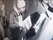 Полиция показала внешний вид серийного вора в Калининграде (видео)