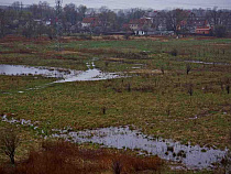 Власти: СНТ “Победа” в Калининграде подтопило из-за военных