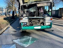 На Портовой в Калининграде автобус с корнем вырвал дерево