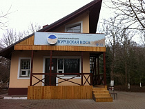 В Калининграде открыта продажа пропусков на посещение парка "Куршская коса"