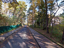 Калининградец оштрафован на полмиллиона рублей за три спиленные сосны 