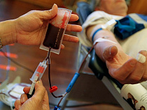 Калининград испытывает недостаток доноров крови