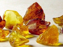 Янтарная лихорадка: под Калининградом задержана чертова дюжина нелегальных старателей