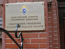 Под Славском рецидивистка смертного ранила сожителя ножом  в бедро