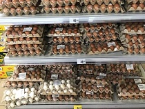 Власти объяснили дешевизну яиц из Гурьевска в магазинах Питера