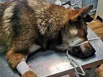 В Балтийске предупредили об опасности на пляже