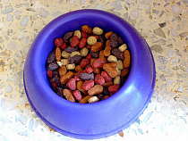 Россельхознадзор вернул в Чехию корма для кошек и собак