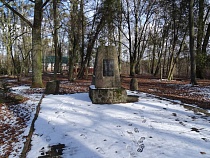 В Правдинске начинают вырубку в парке