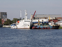 «Гринпис» сообщил о тысячах бочек с химикатами из Польши в Калининграде