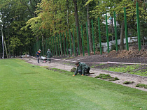 Правительство согласовало покупку оборудования по уходу за газоном на стадионах «Мирный» и «Локомотив»