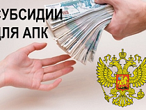 Калининграду на поддержку агропромышленного комплекса выделили более 226 млн рублей