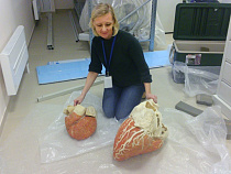 На «Глубине» забилось сердце кита