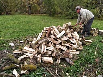В Калининградской области собирают заявки на дрова